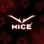 شركه نايس للاستيراد والتصدير  -  Nice Sport